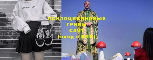 spice Алексеевка