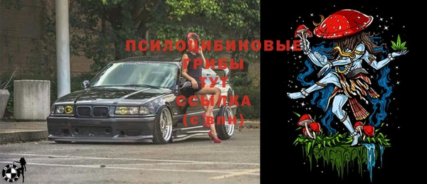 spice Алексеевка