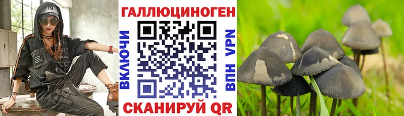 Галлюциногенные грибы GOLDEN TEACHER  Макушино 